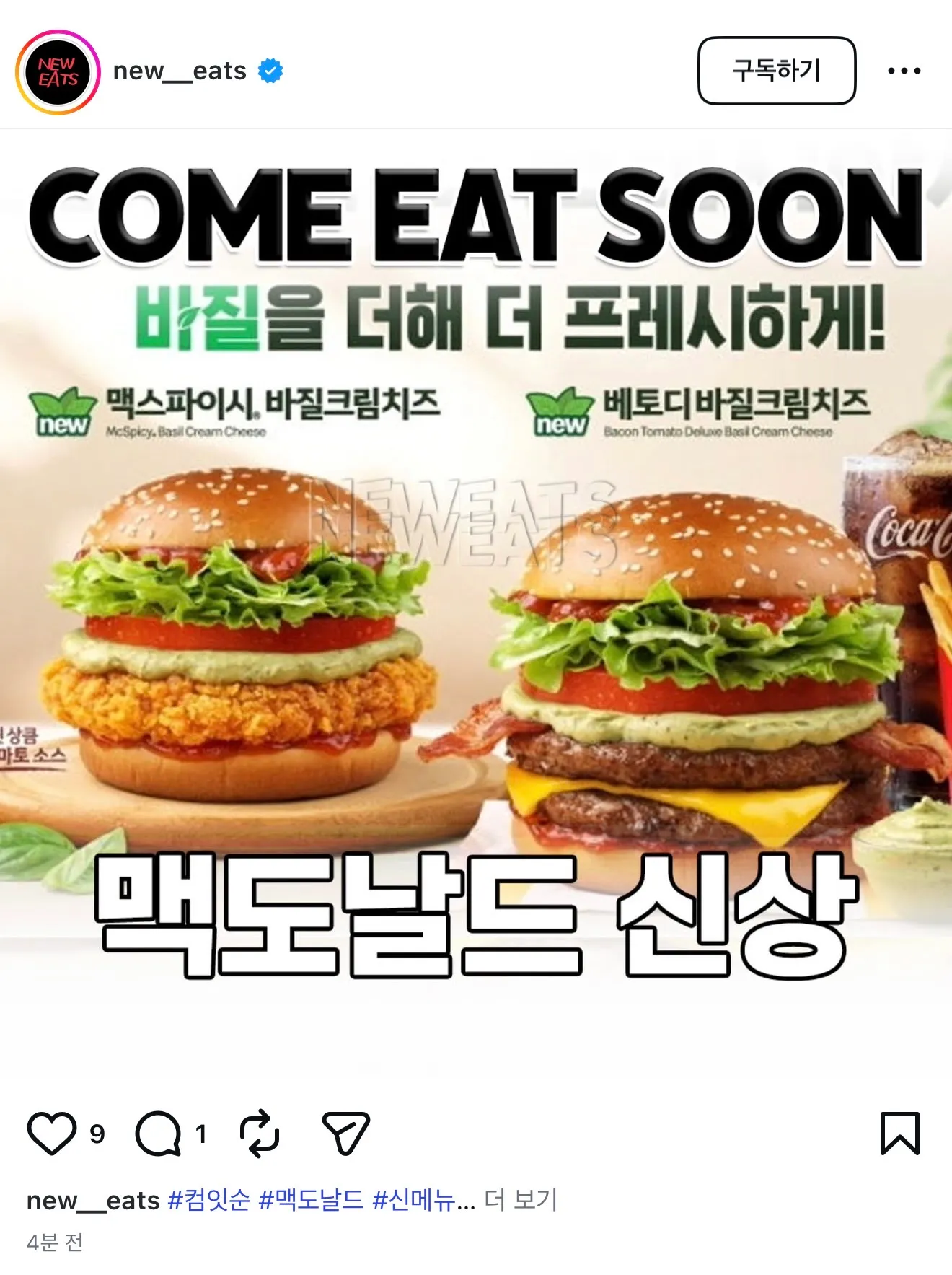 요즘 바질이 유행인가요?