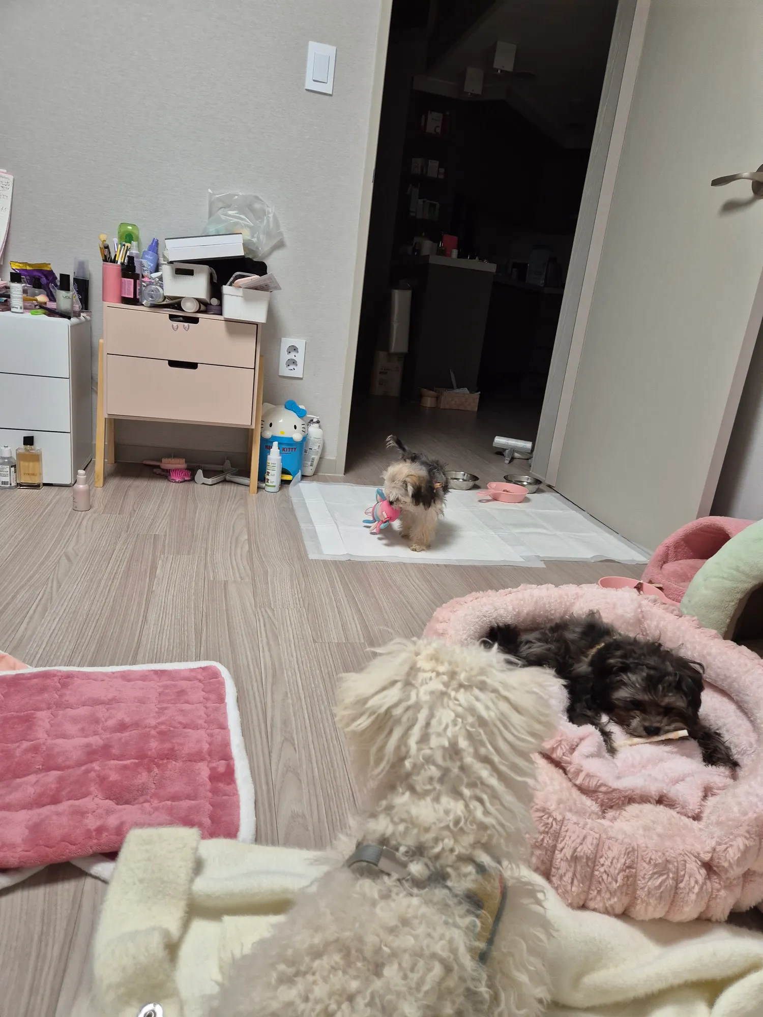 마지막글 무슨색깔 슬리퍼가낳니 댓글 2