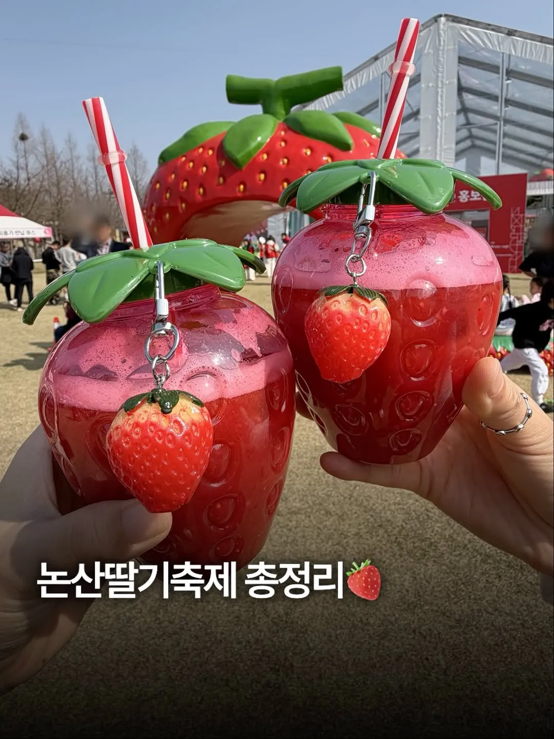 논산딸기축제에서 판 딸기 먹거리