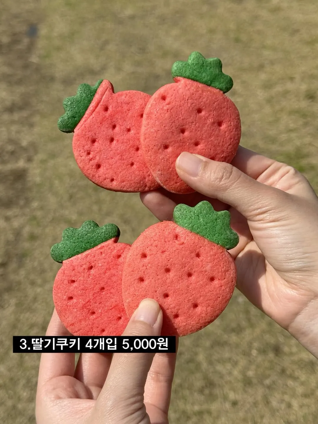 논산딸기축제에서 판 딸기 먹거리4