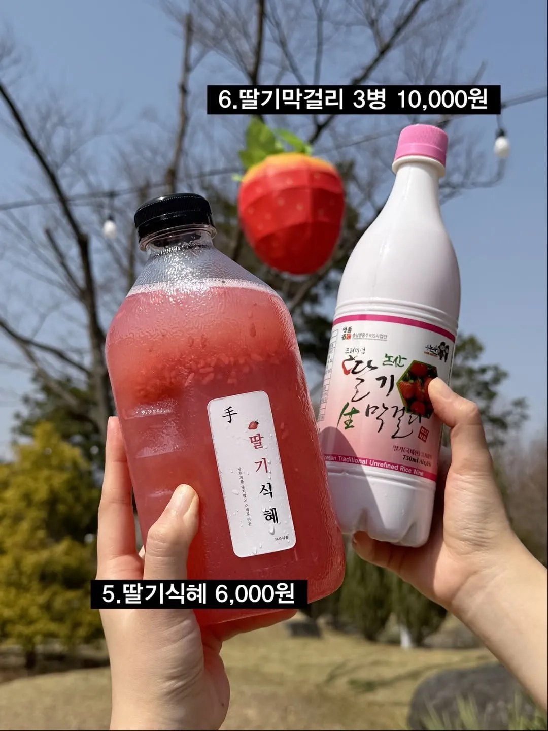 논산딸기축제에서 판 딸기 먹거리6