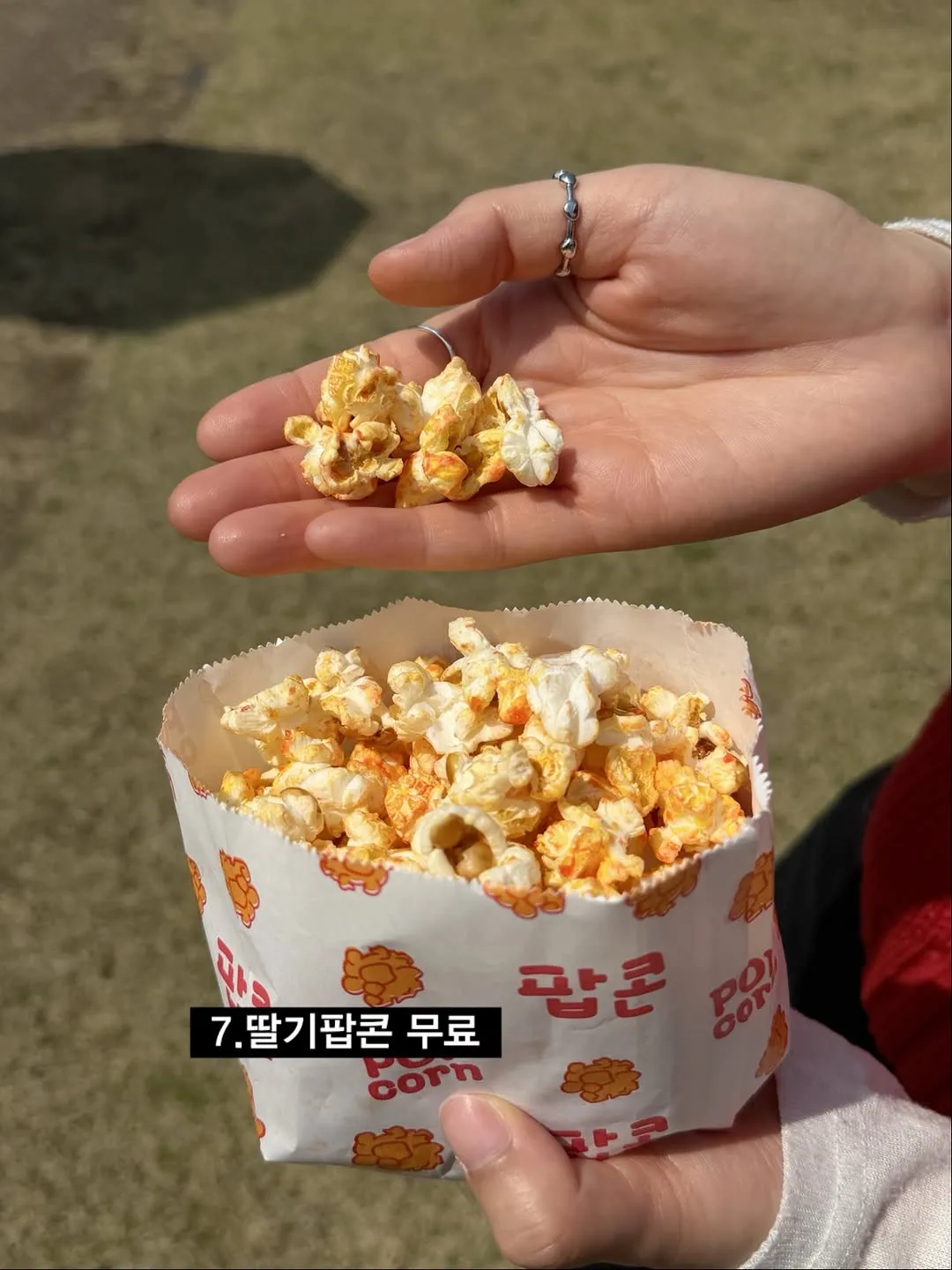 논산딸기축제에서 판 딸기 먹거리7