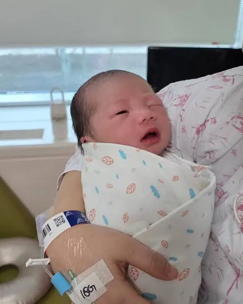 야옹이작가 또 출산했넹2