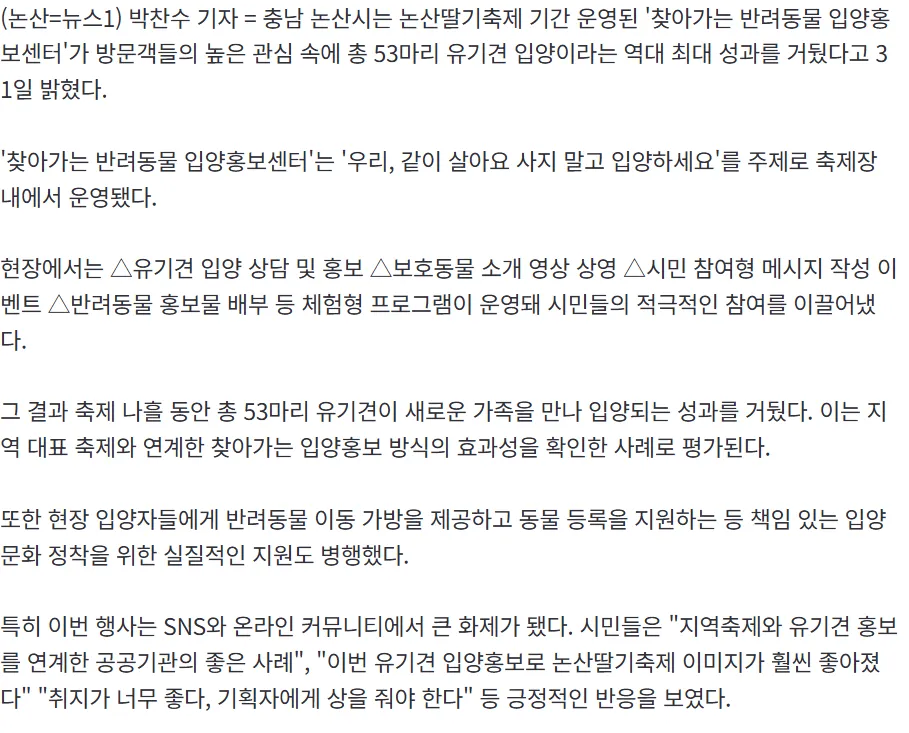 딸기축제 4일간 유기견 53마리 새 가족 품으로3