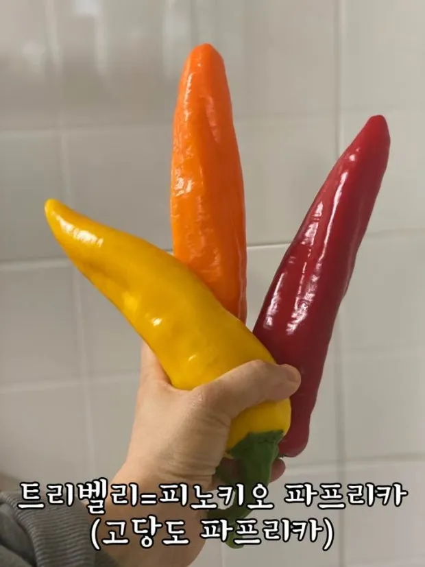 짭쩝언니들 오늘 어땨요? 댓글
