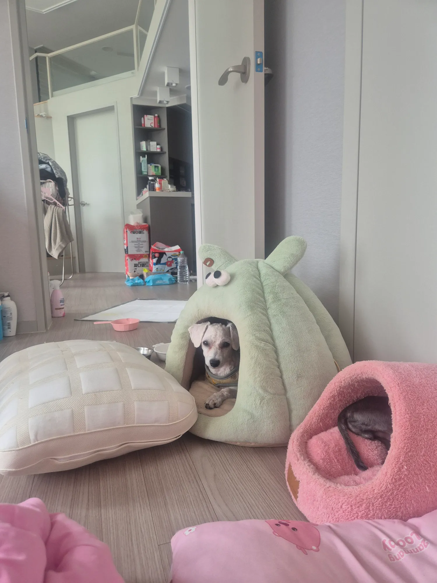 연신내는 살기 ㅂㄹ인가여?2
