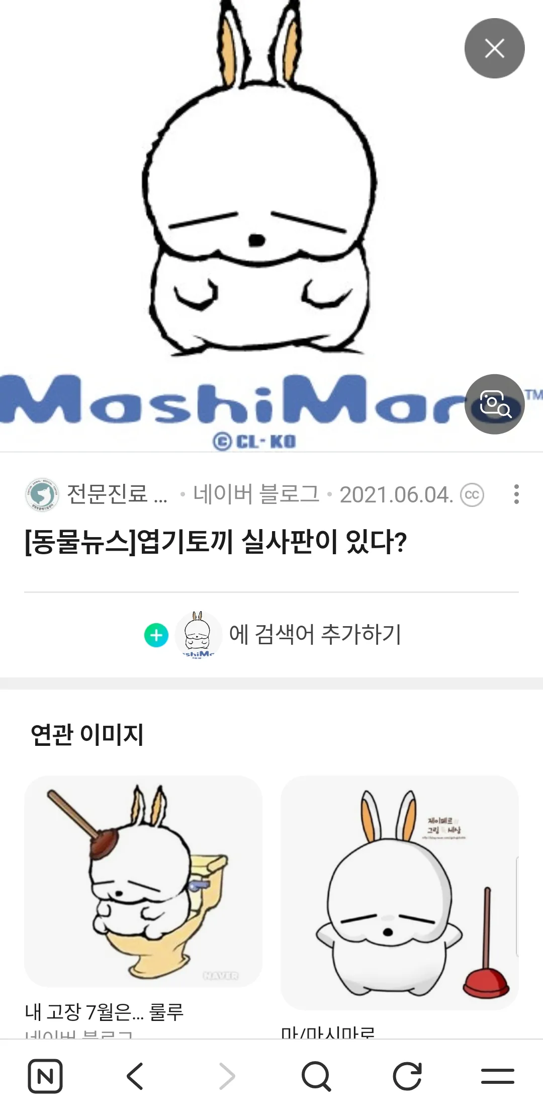 엽기토끼 이영학 관상