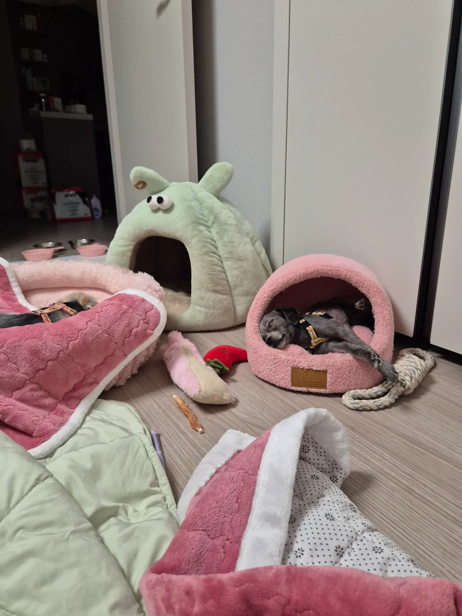 사주좀볼수잇는 친구없나요.. 저사주가안좋아요 댓글