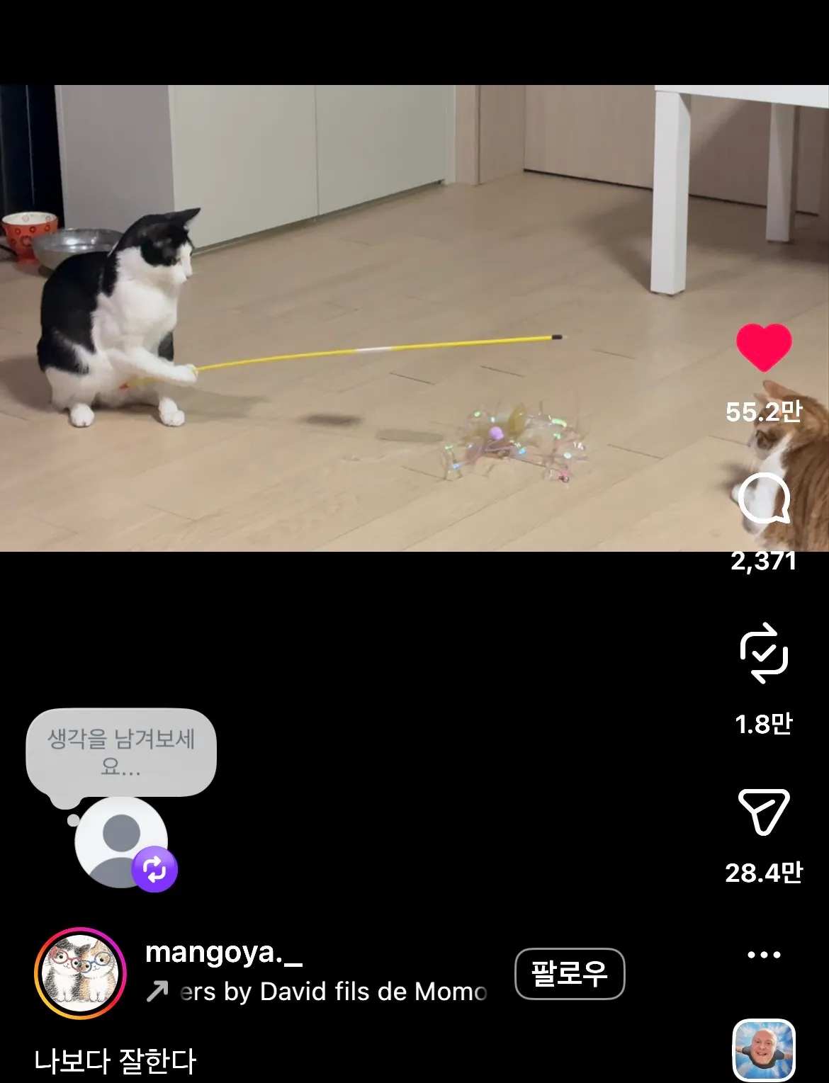 고양이 팔근육 개지려