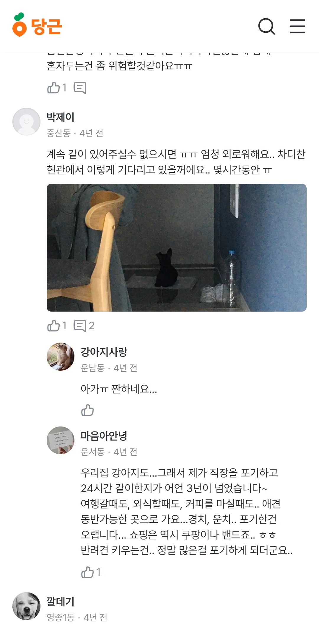 강아지나 고양이는 주인이 전부래요