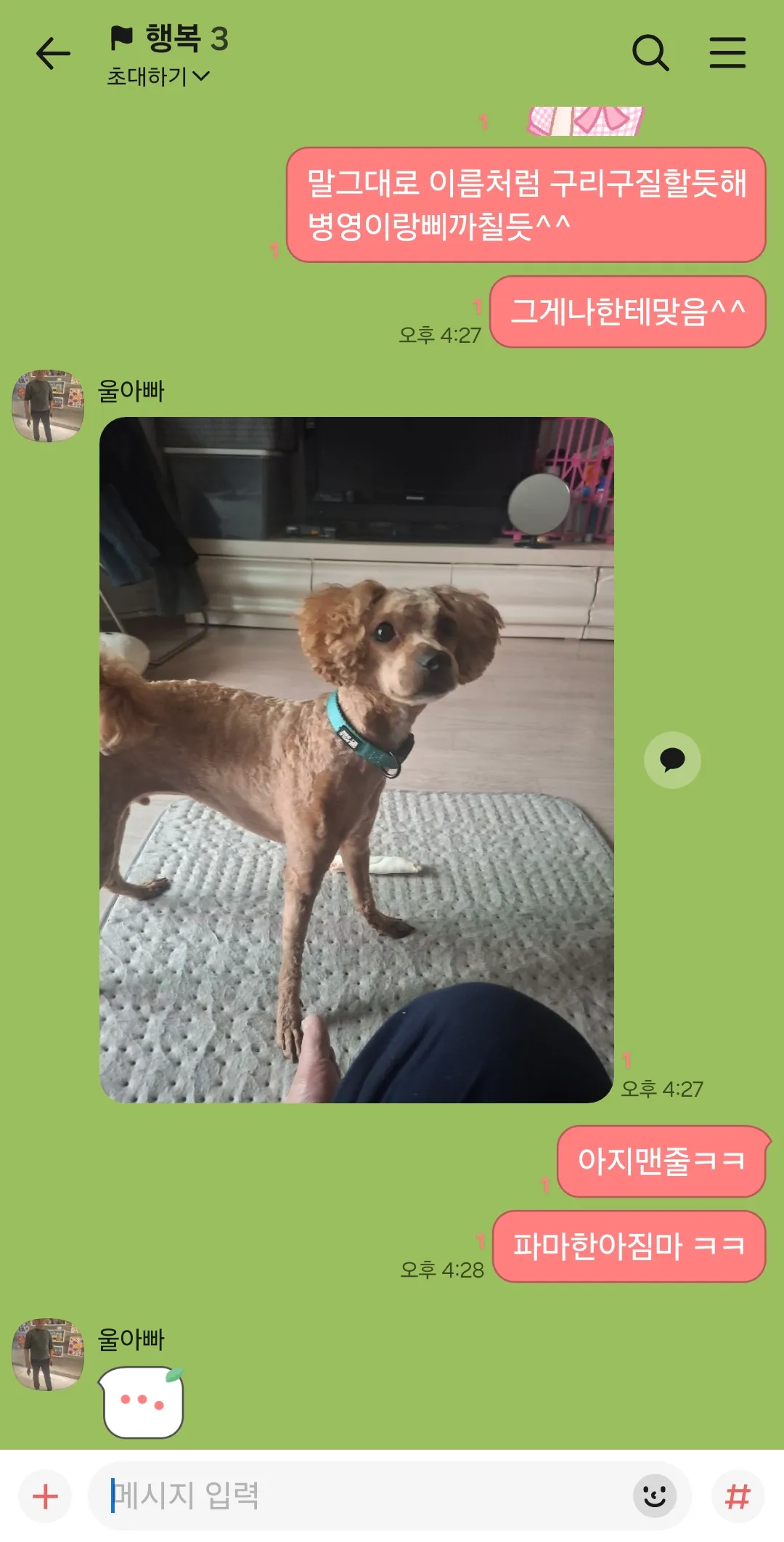우리 금동이 아지매같다 ㅋ