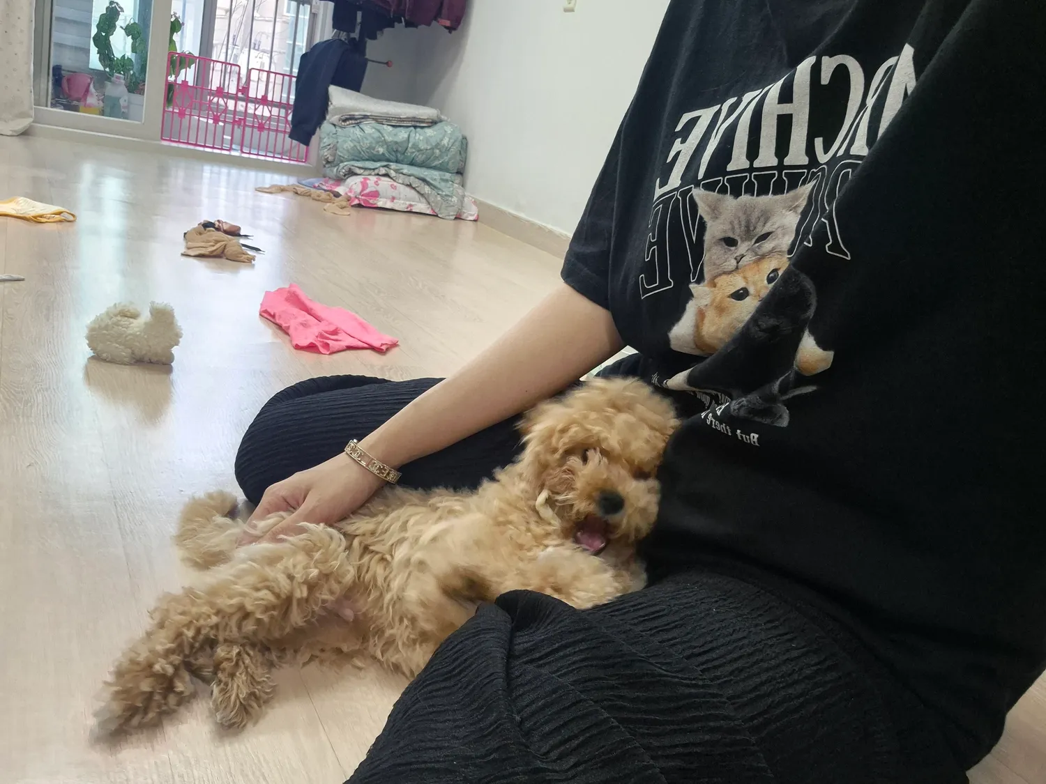 우리 금동이 아지매같다 ㅋ 댓글