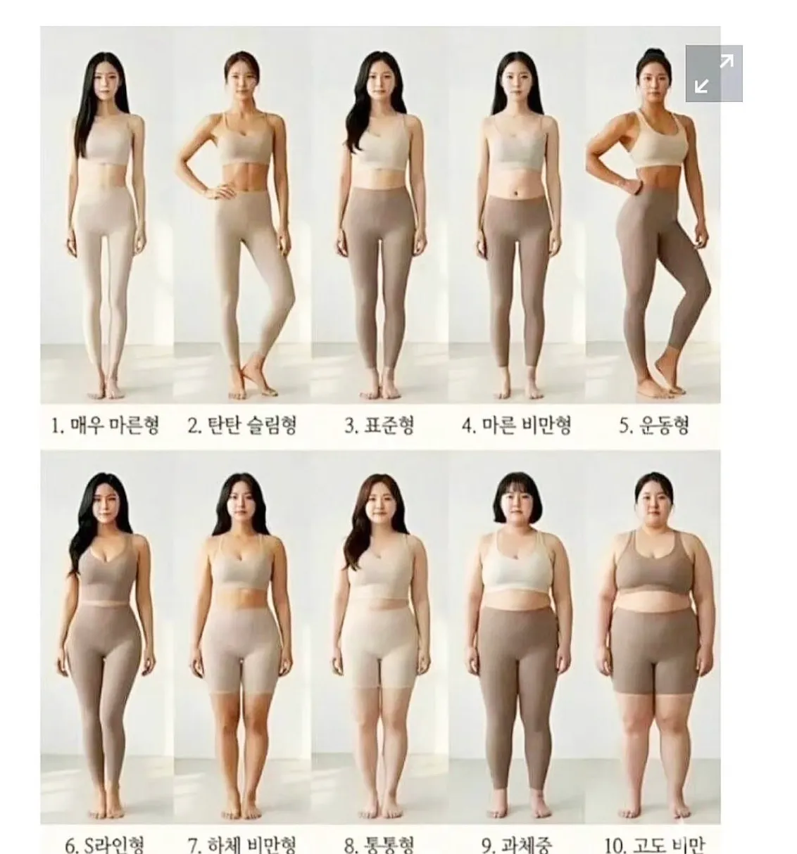 화류 입문하고 몸무게정병 생김