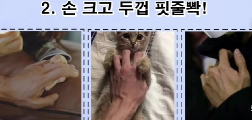 언니들은 둘중에 어느쪽이 더 좋이요? ㅎ2