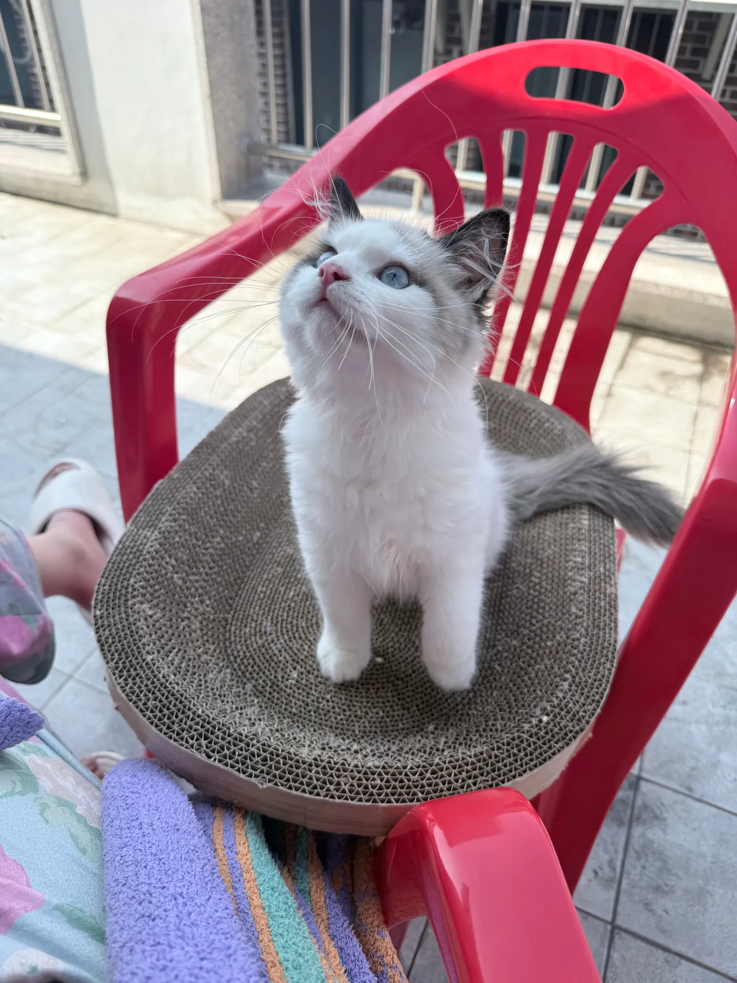 날씨 좋네욤