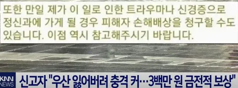 다른사람 우산 가져 갔다가 고소 당한 사람4