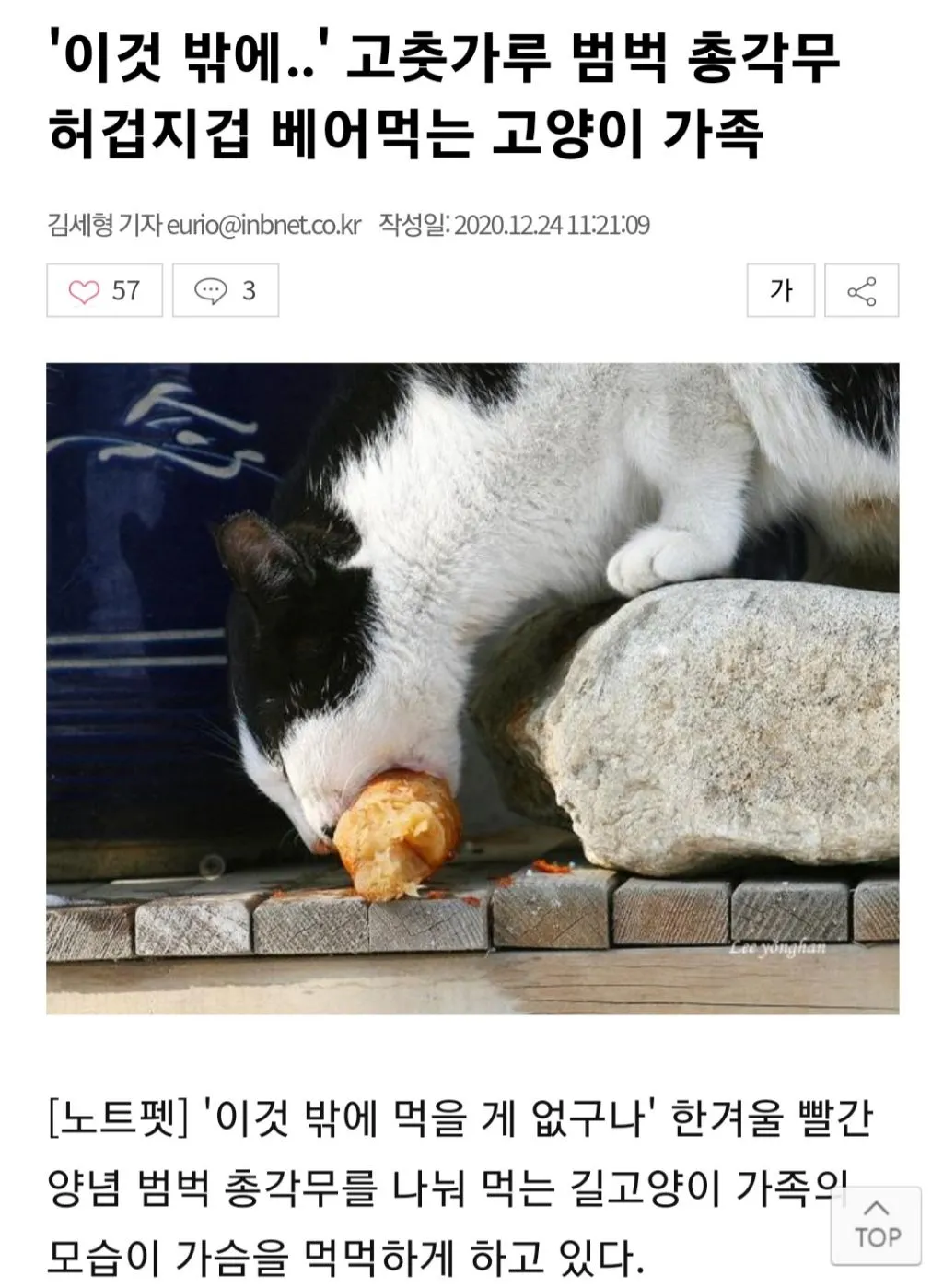 아 출포 하규 쉬는중인데 댓글