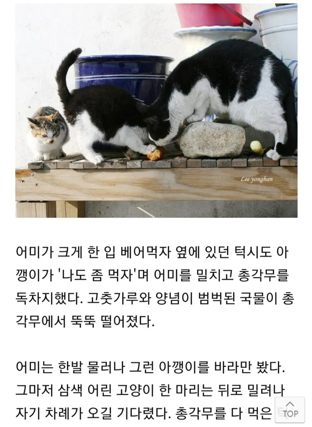 아 출포 하규 쉬는중인데 댓글 2