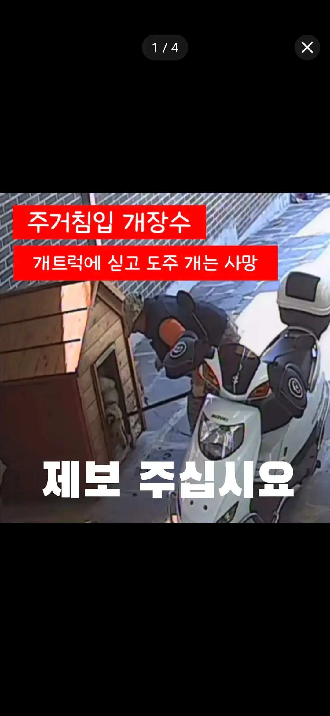 아직도 남의 강아지를 훔쳐가는구나 보신탕땜에