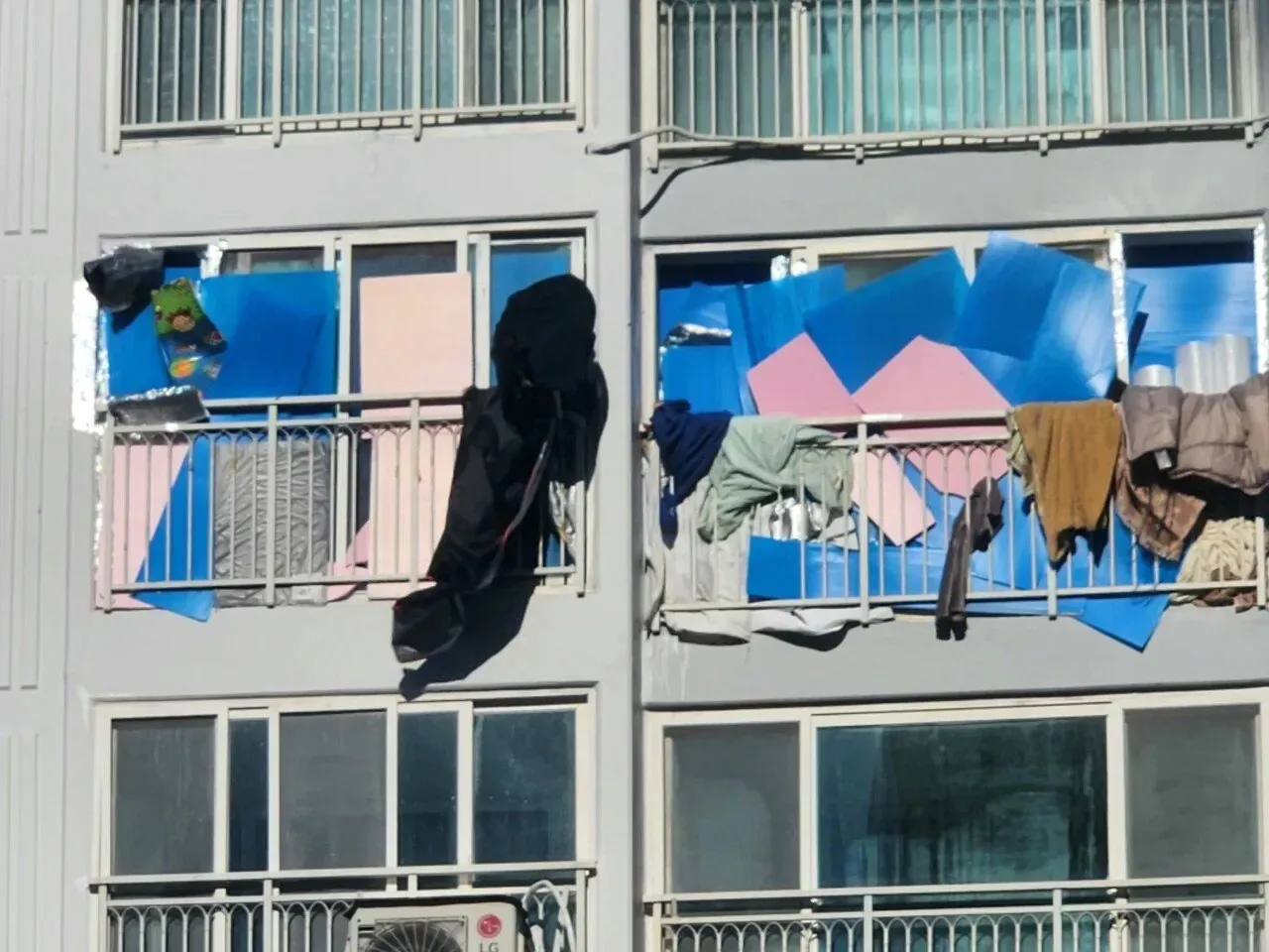 앵무새 정신병 글도배하는애 늙으면 이렇게됨