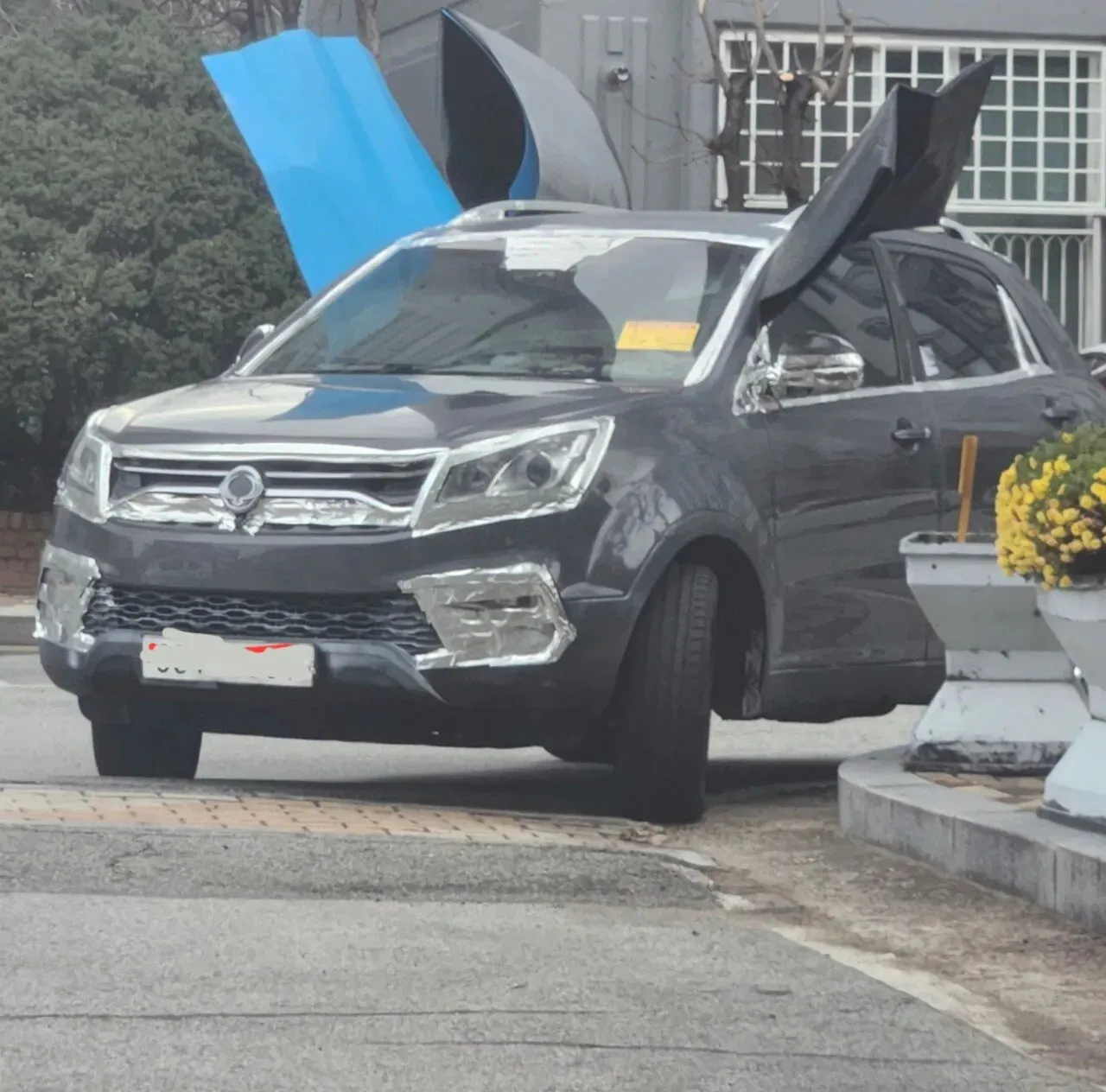 앵무새 정신병 글도배하는애 늙으면 이렇게됨2