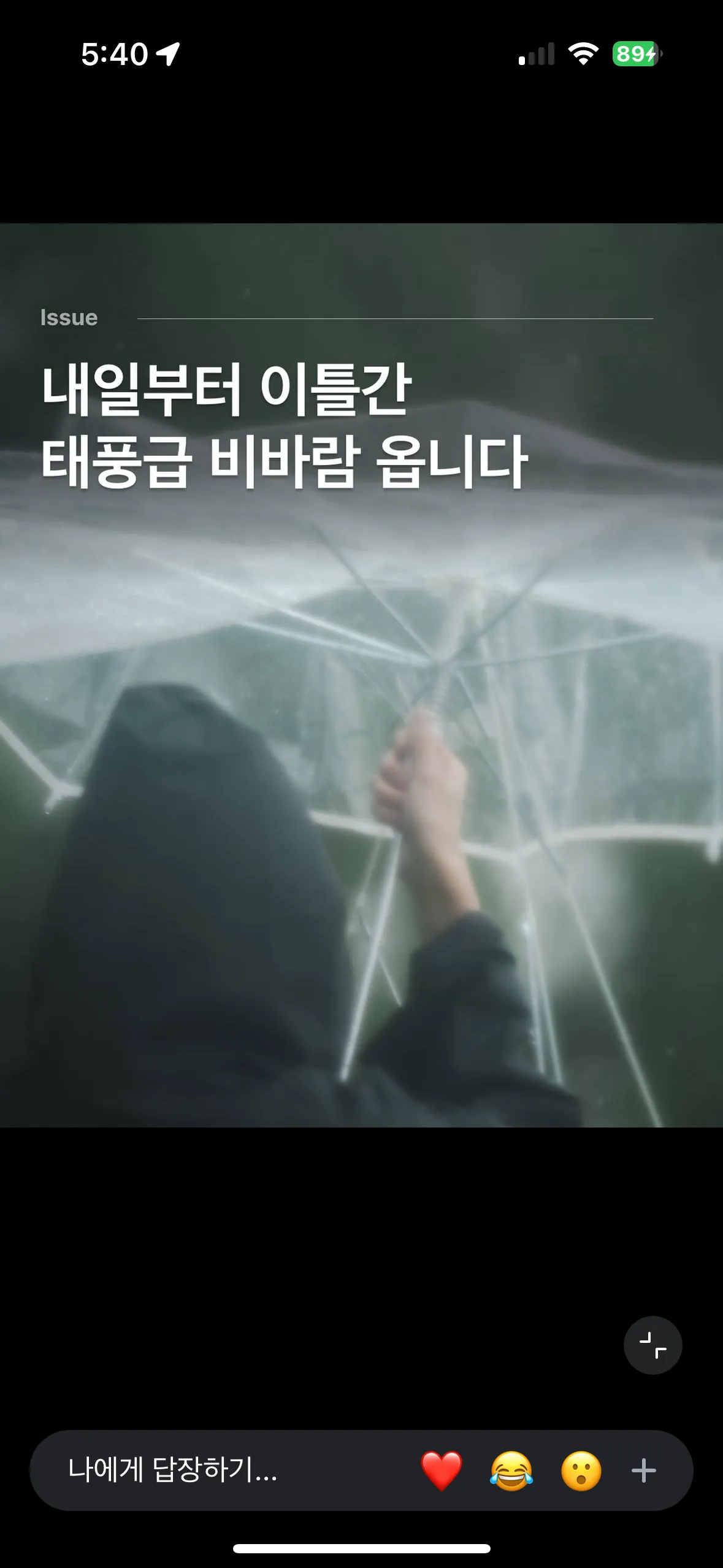 오늘 출근하는 언니들??