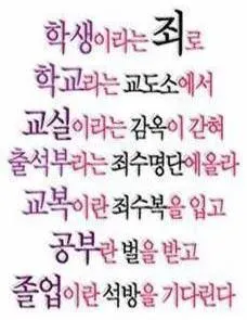 언니들 남자가 이 사진 카톡프사 댓글 2