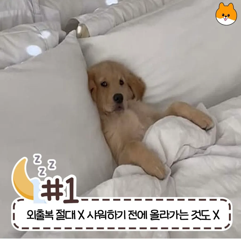 사람마다 갈리는 침대 허용 가능 범위