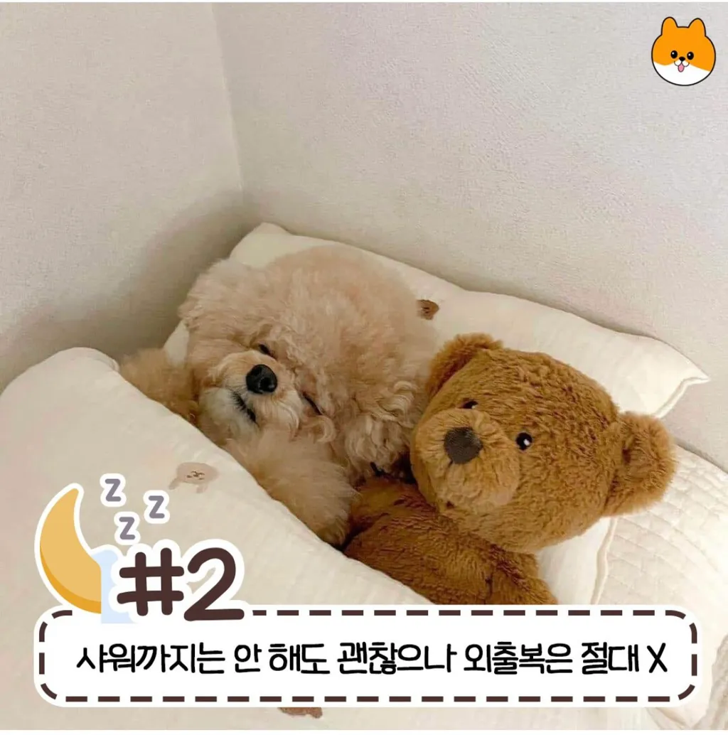 사람마다 갈리는 침대 허용 가능 범위2