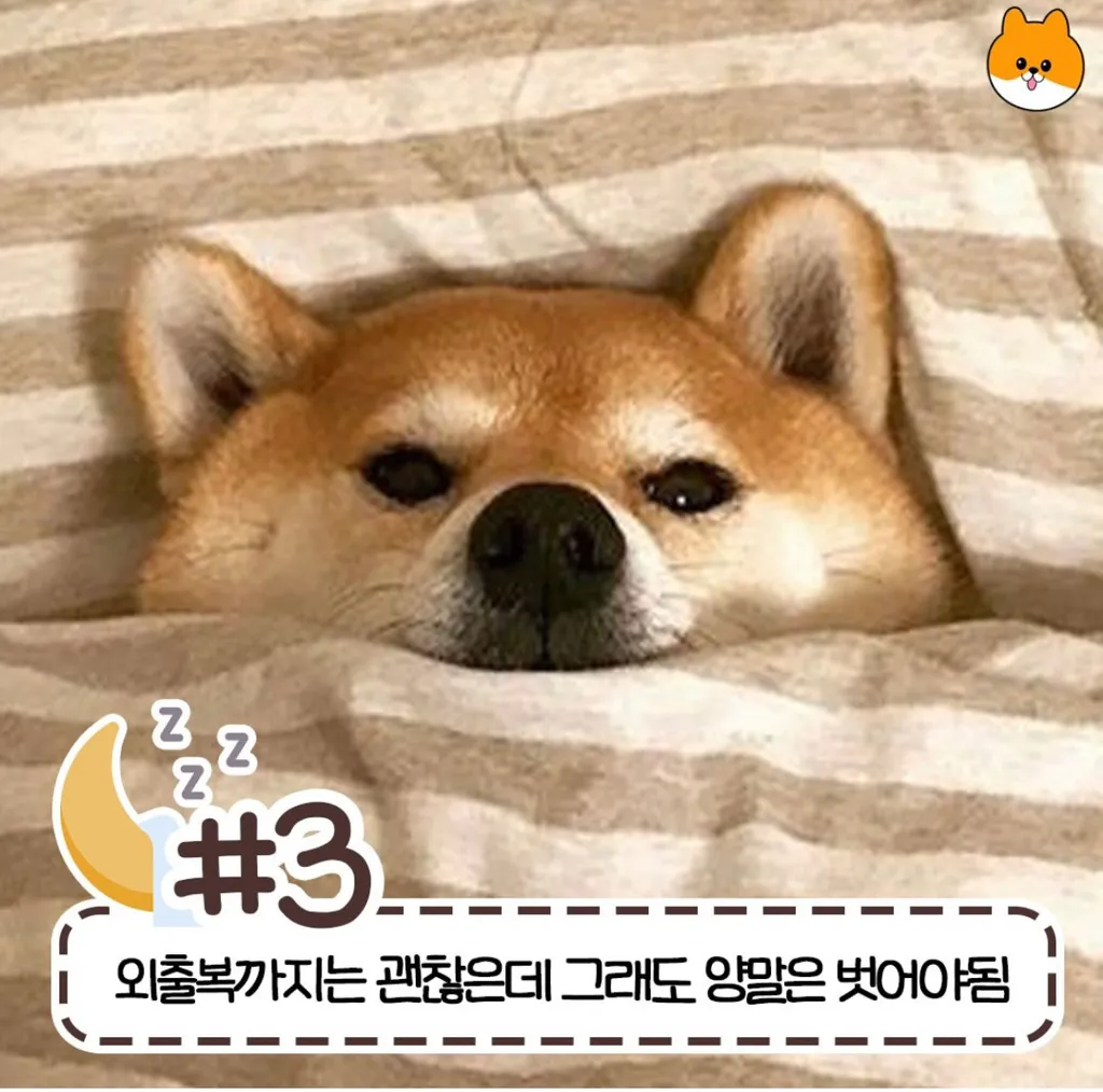 사람마다 갈리는 침대 허용 가능 범위3