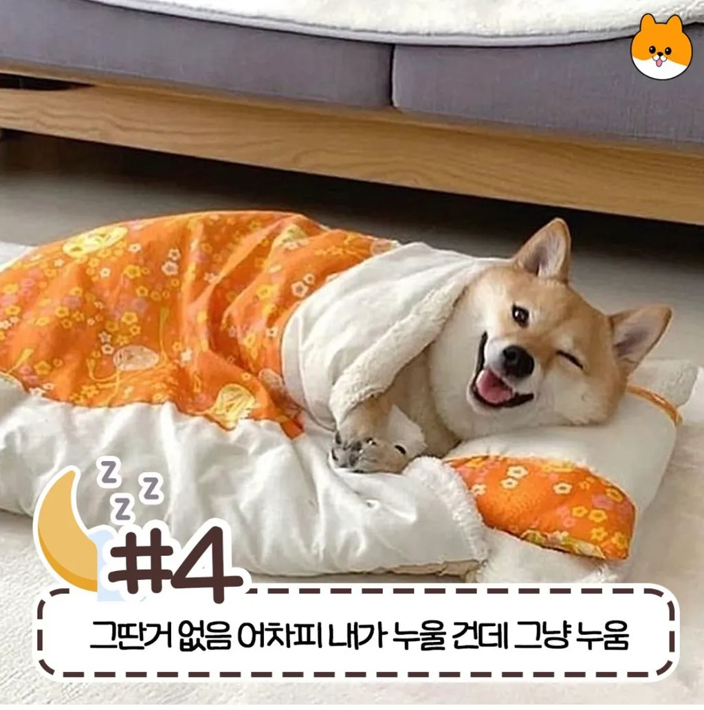 사람마다 갈리는 침대 허용 가능 범위4
