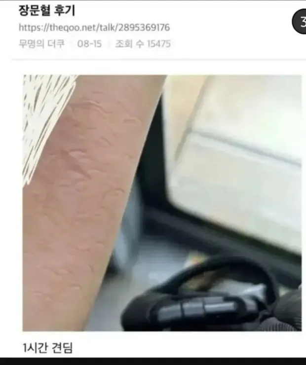 아....버스타니까 댓글