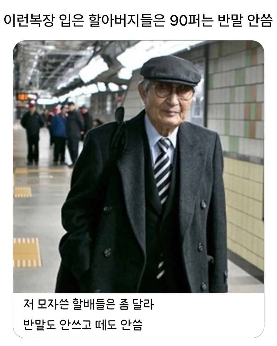 하시발 댓글
