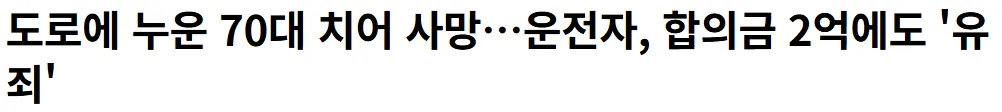 새벽 1시에 도로에 누워있다가