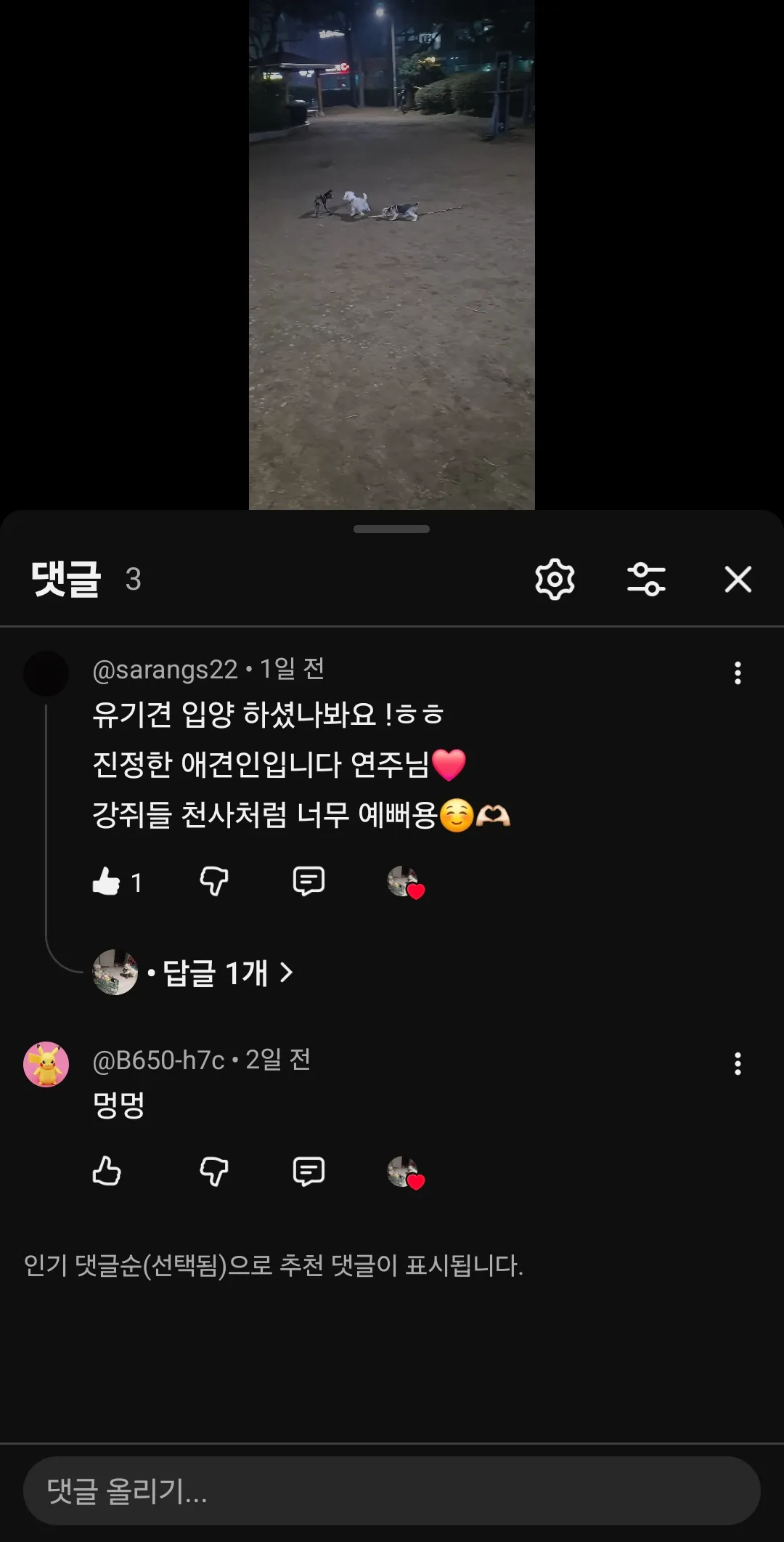 와 좀 상처다... 강아지들 노는영상 올렸는데