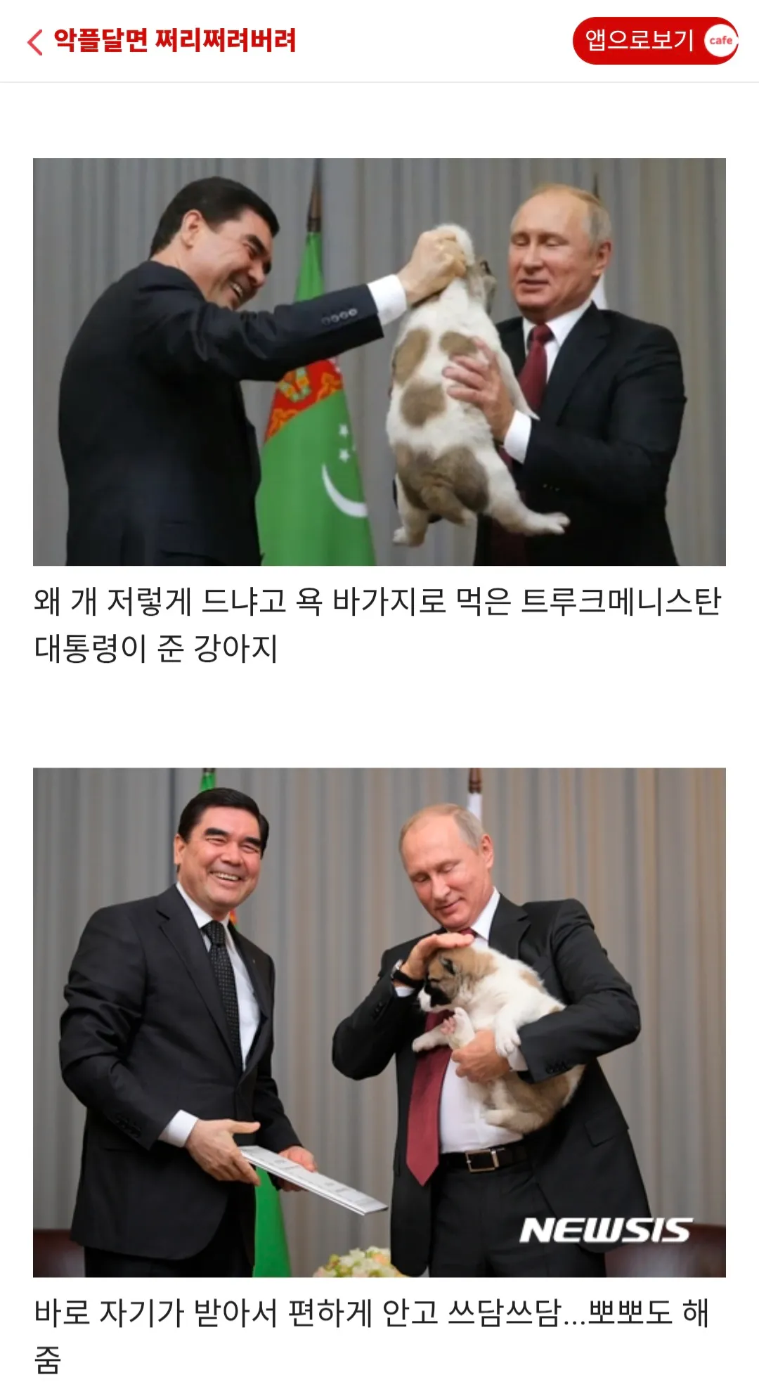 푸틴: 강아지 그렇게 들지 말랬지 씨발아