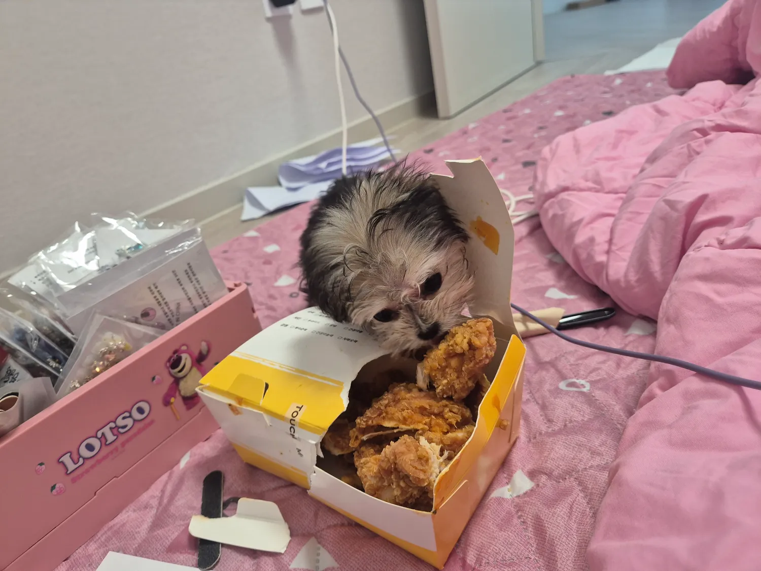 우리 동금이 최애 꼬추인형2