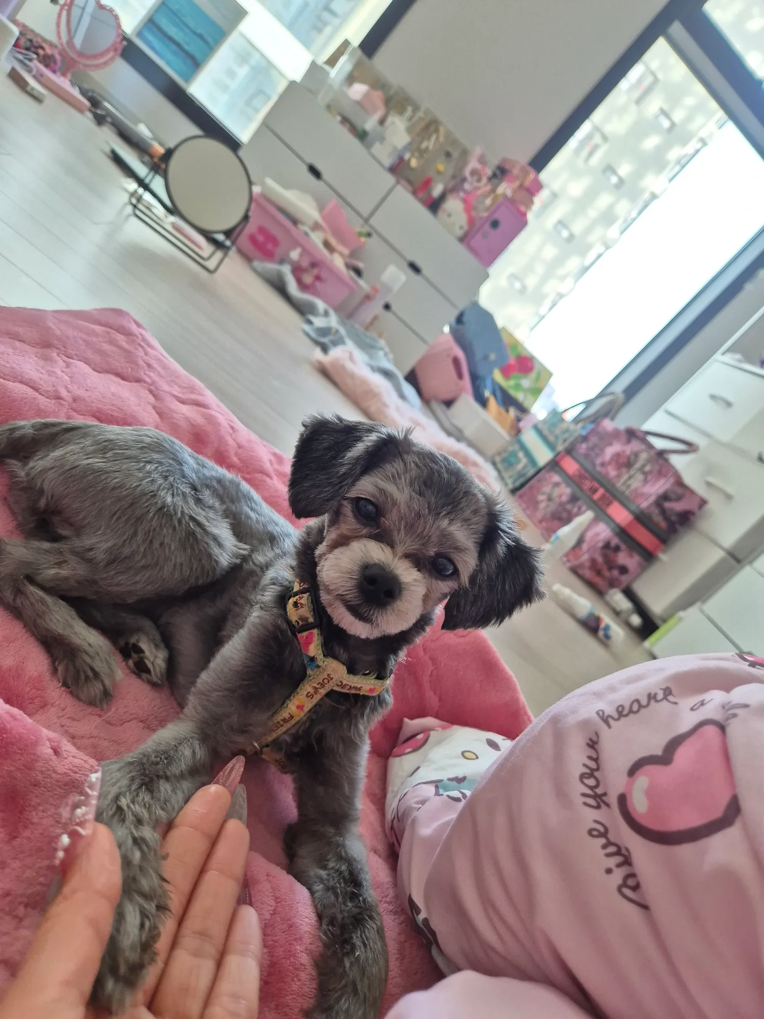 얘들아 연주다 나이제 착하게 살게. 지은죄 참회중2