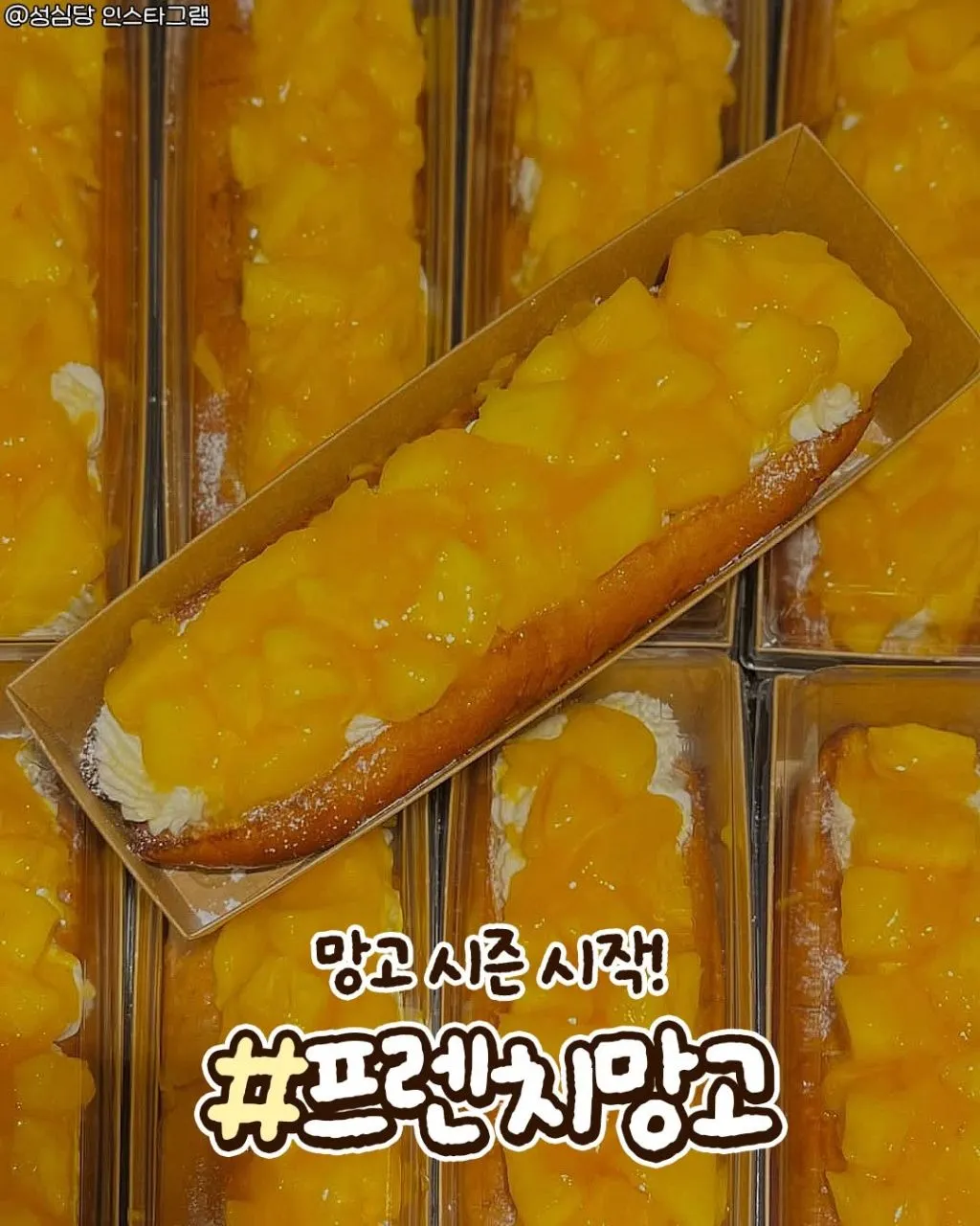 성심당4월 신상품5