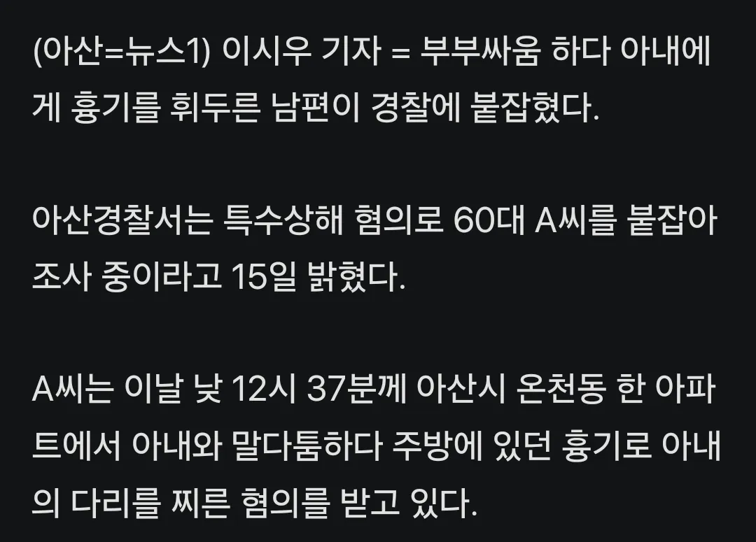 흉기로 아내 다리 찌른 60대 체포2
