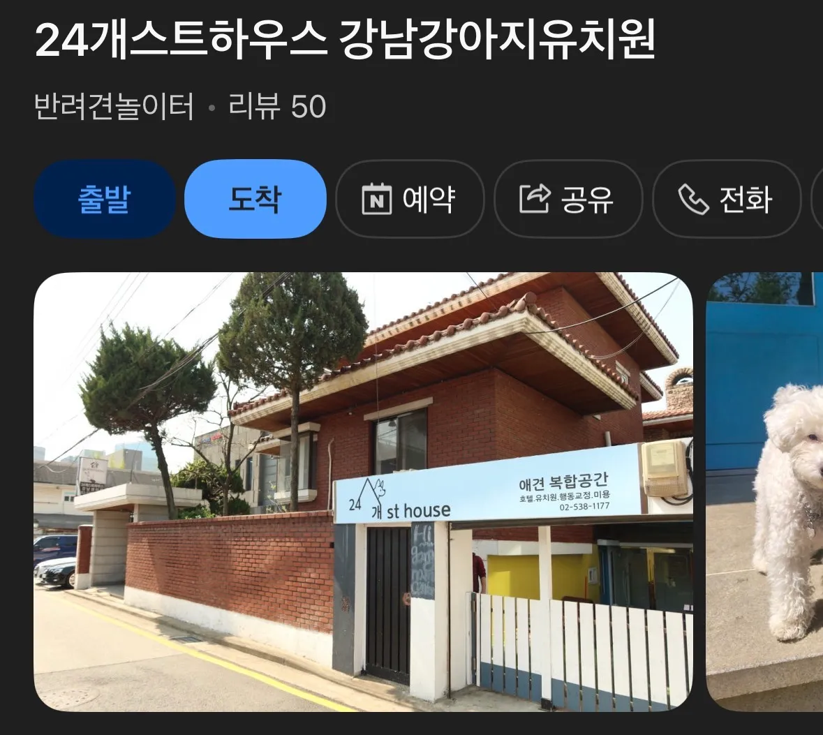 강아지 유치원 괜찮은곳 있나요?