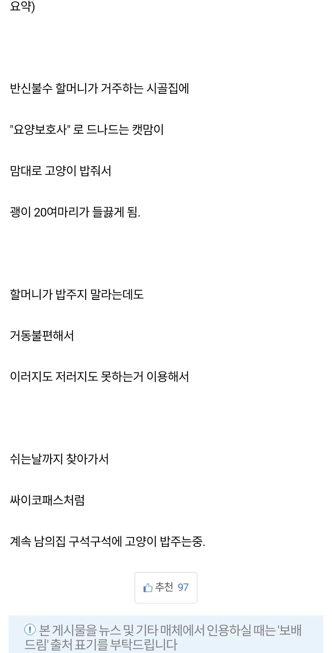 한국에서 캣맘은 정신병자가 맞음2