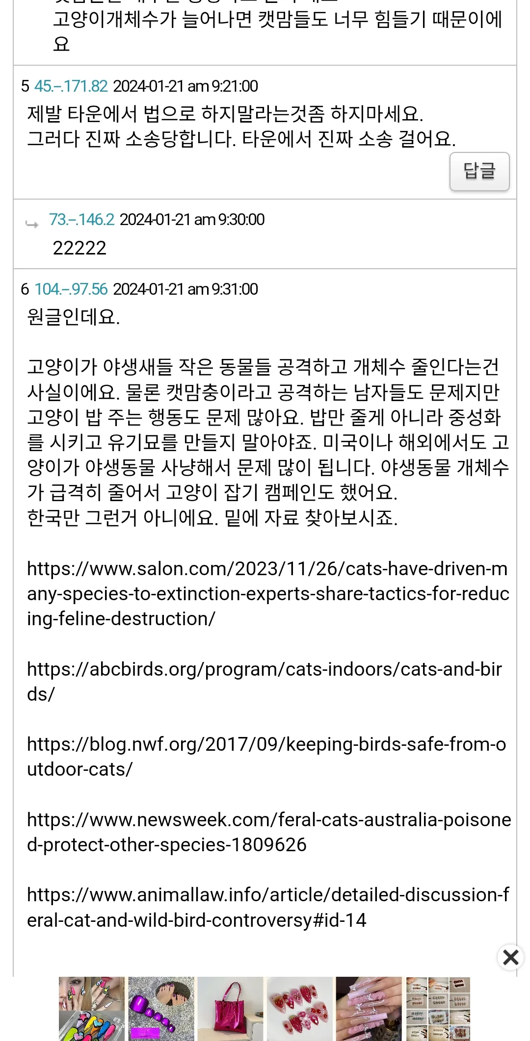 한국에서 캣맘은 정신병자가 맞음 댓글
