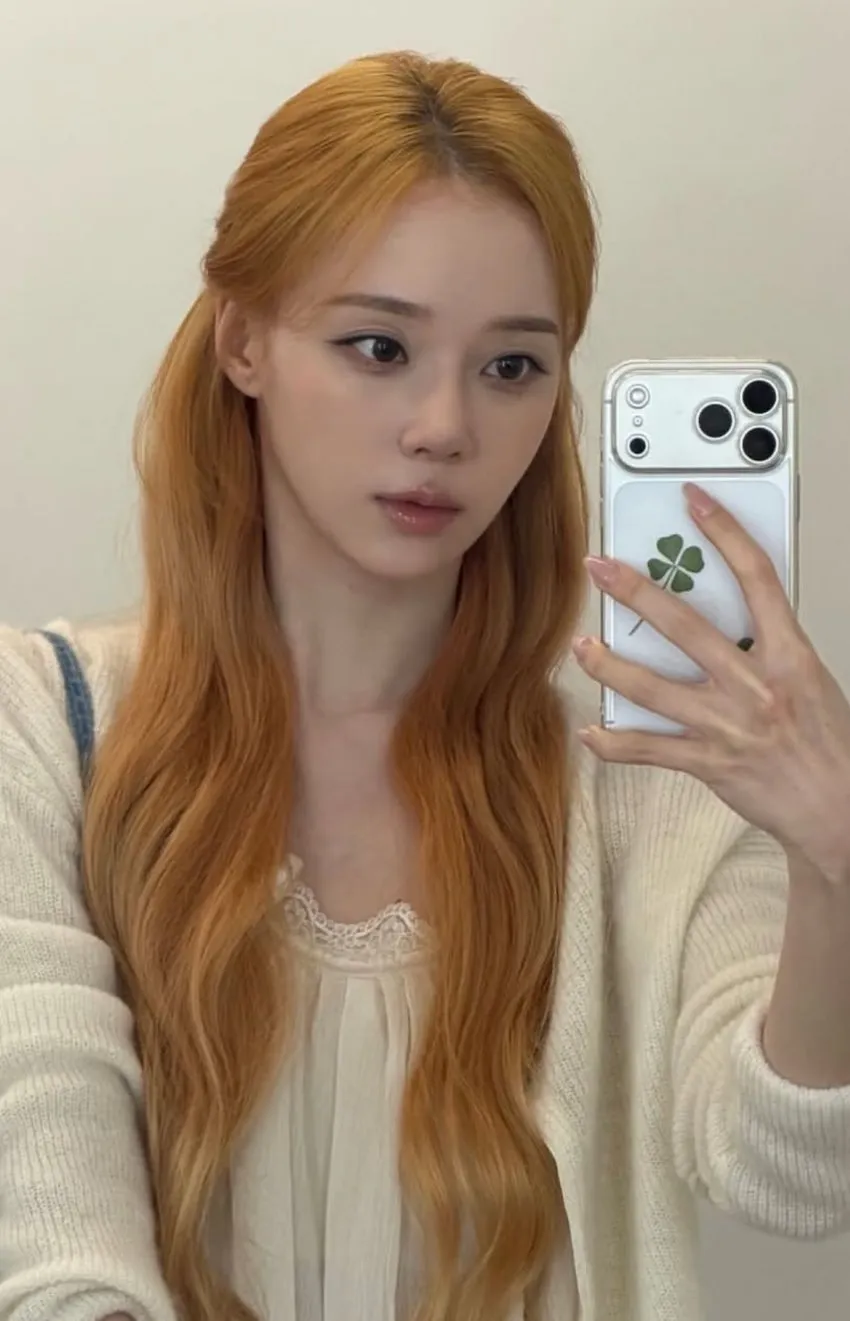 윈터 코 재수술햇나바요