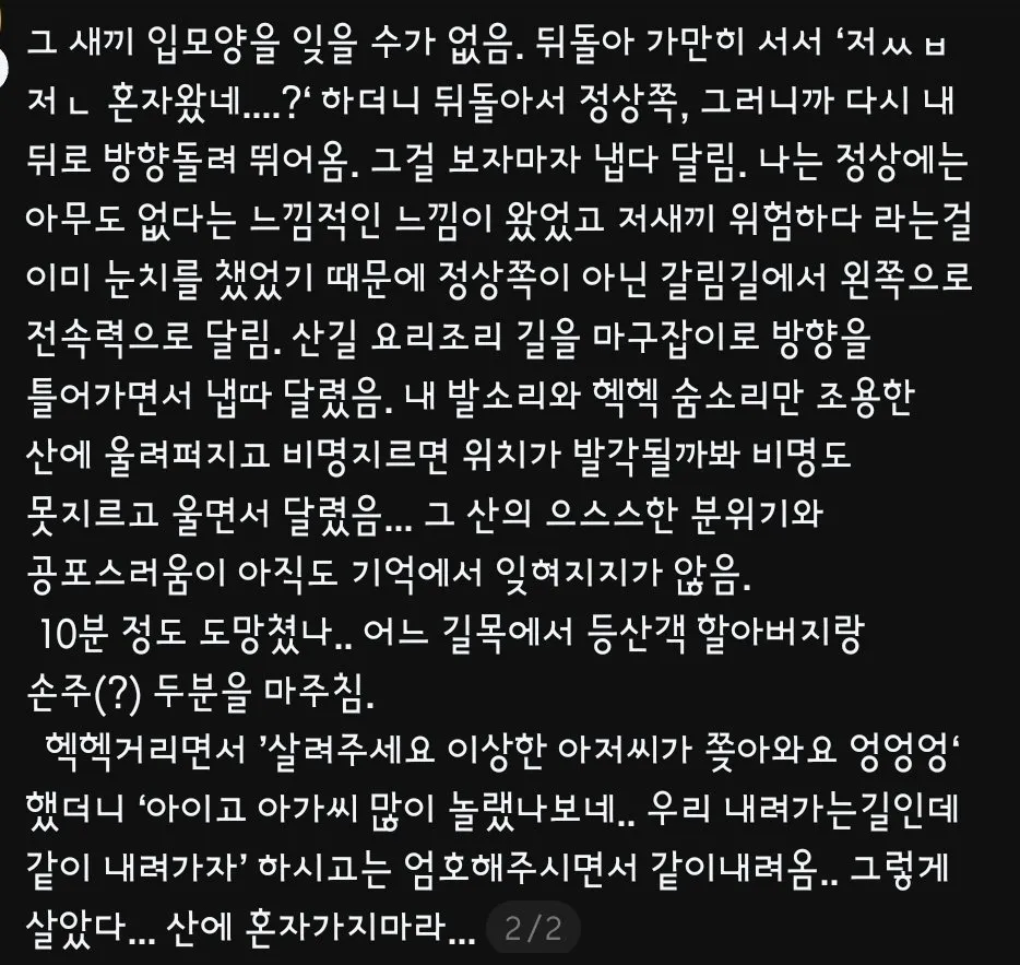 스레드에 여자 등산 혼자 가지마라 하는글이