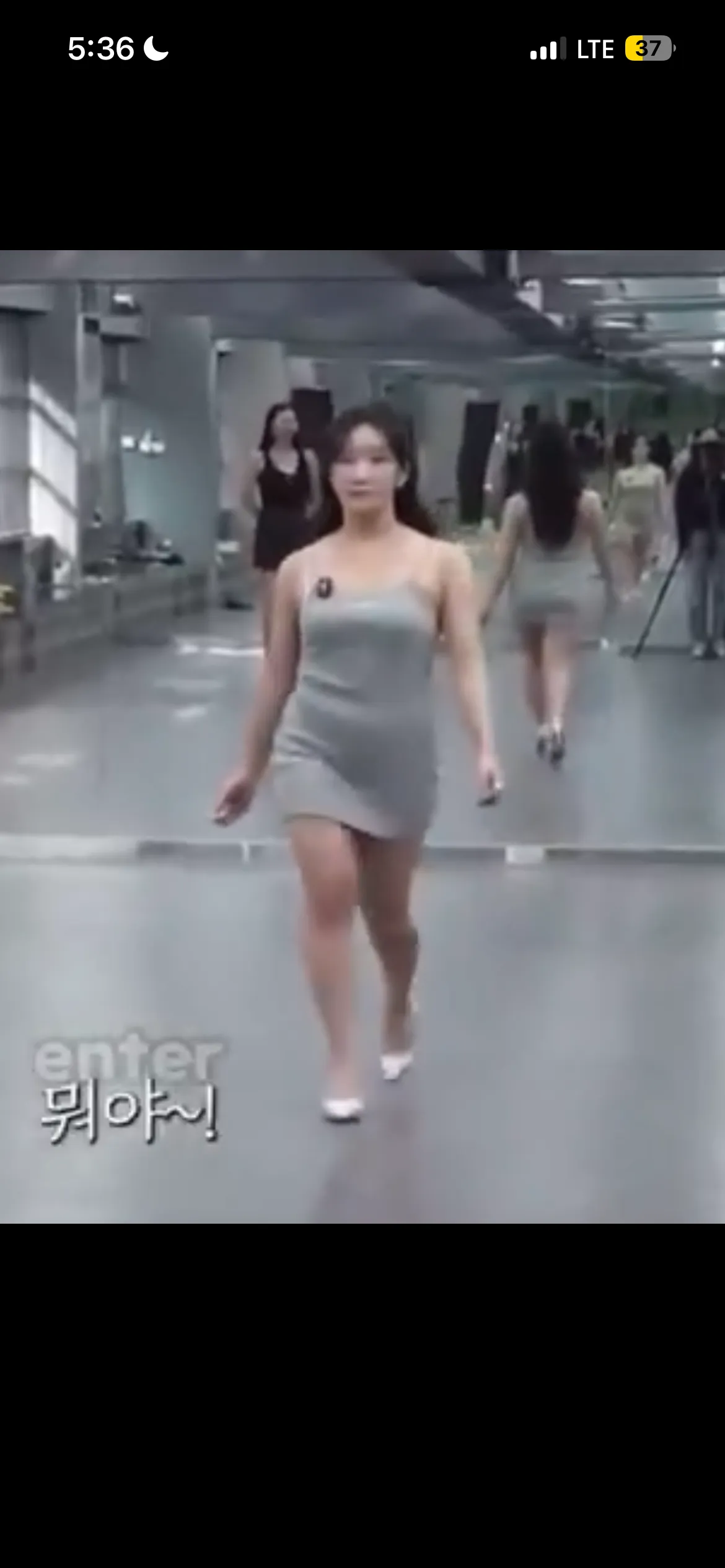 하퍼언니들 실제비율
