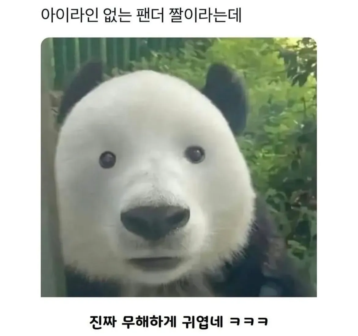 졸귀 ㅋㅋㅋㅋ