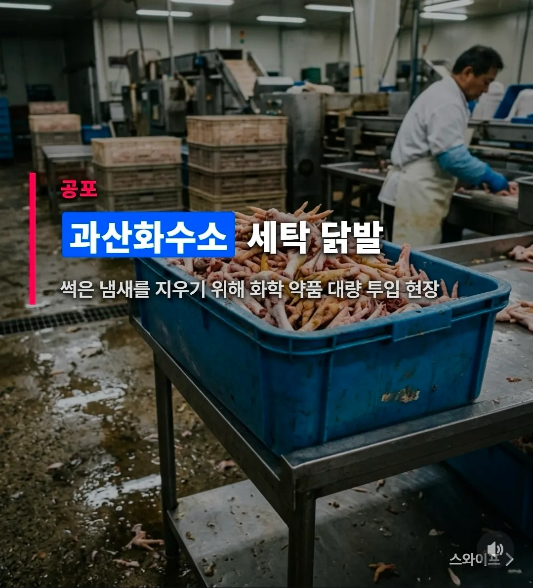룸에서 배달 머시켜먹어용?? 댓글 2