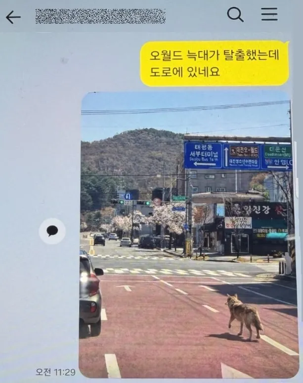Ai늑구사진 재미로 그랬다2