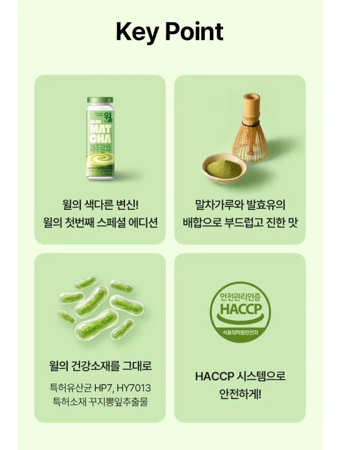 헬리코박터 윌 제주말차맛 출시2